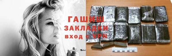 прущие грибы Алзамай