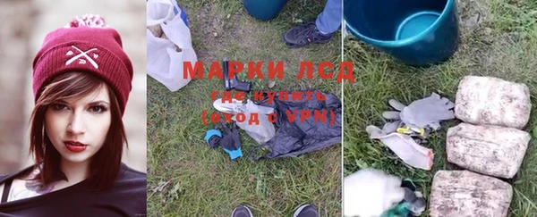 прущие грибы Алзамай