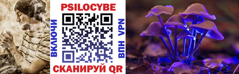 Галлюциногенные грибы MAGIC MUSHROOMS  Гдов 